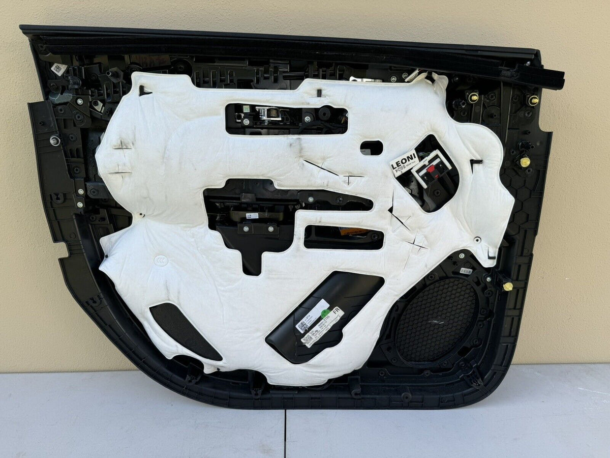 Right passenger side front door trim panel detail