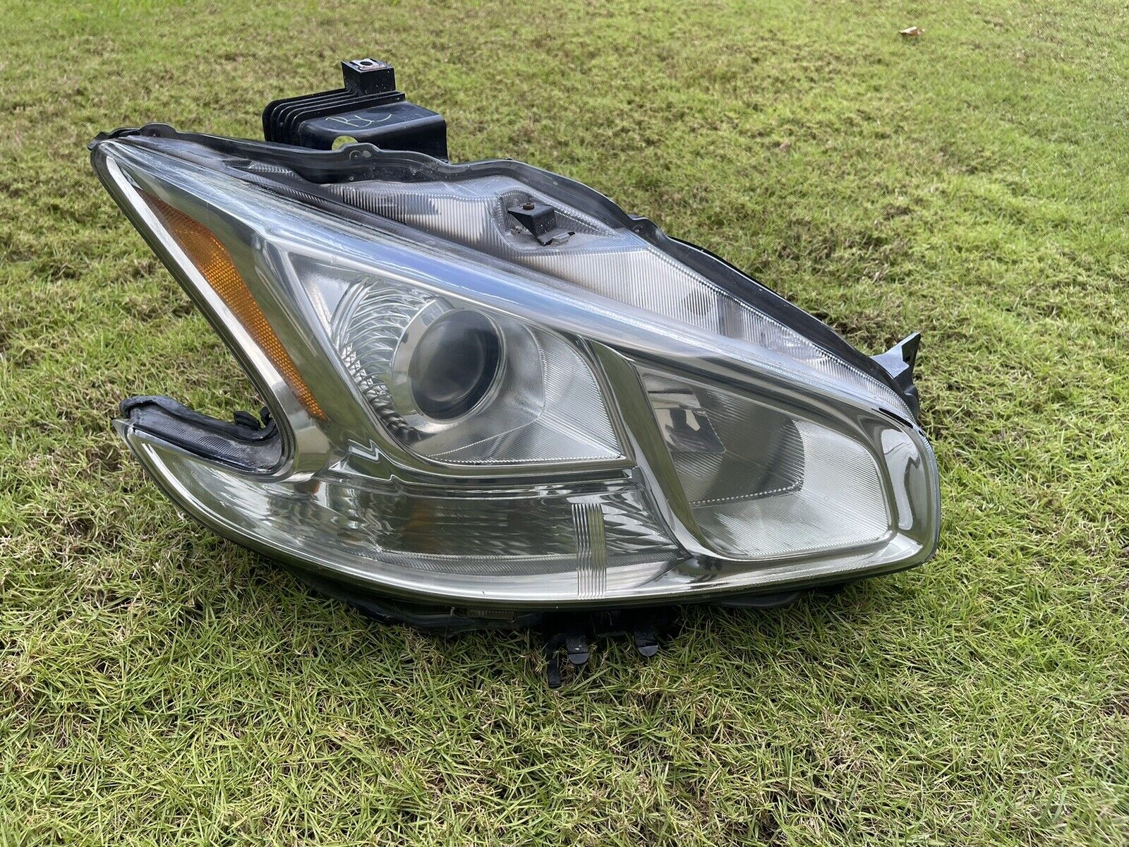 09-14 Nissan Maxima HID Headlight Assembly OEM RH