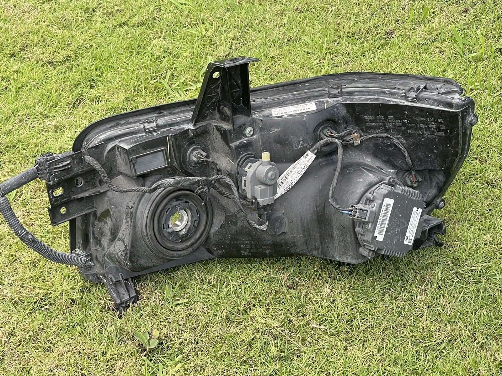 04-10 Infiniti QX56 Xenon HID Headlight Assembly OEM RH